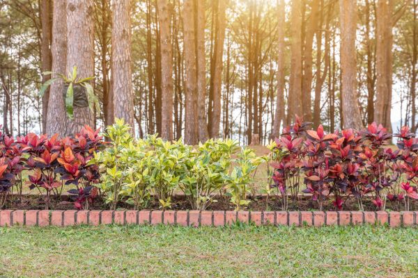 Small Garden Landscaping in Punta Gorda