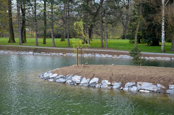 Pond Landscaping Service in Punta Gorda