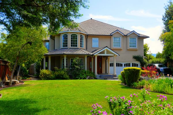 Large Yard Landscaping in Punta Gorda