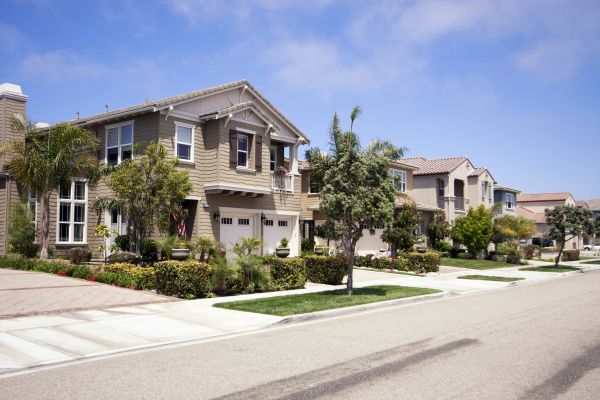 Neighborhood Landscaping in Punta Gorda