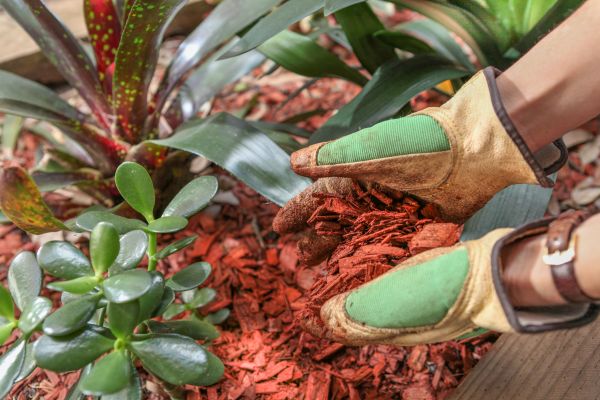 Residential Mulching in Punta Gorda