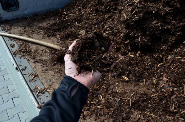 Condo Mulching in Punta Gorda