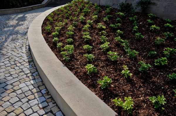 Commercial Mulching in Punta Gorda