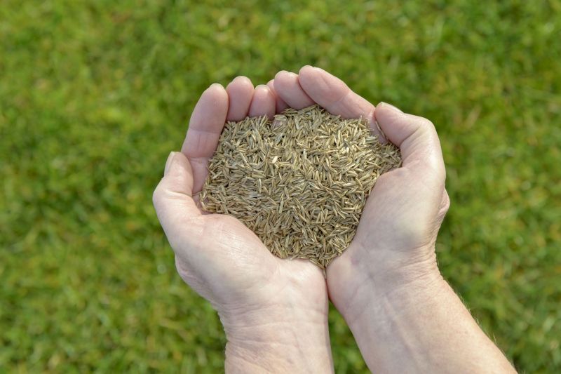 Industrial Landscaping Service