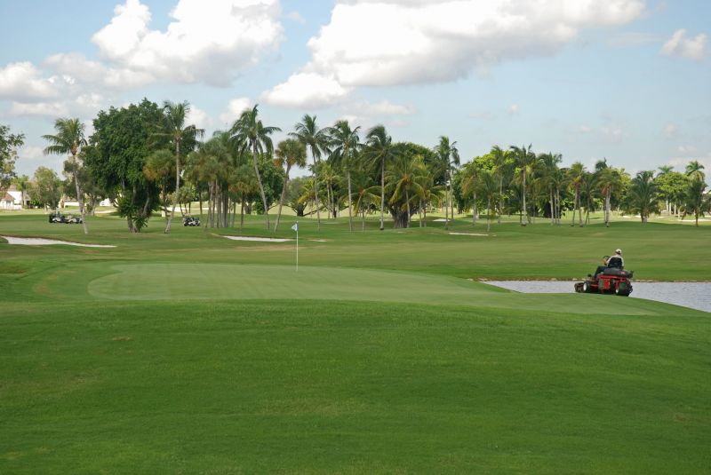 Winter in Punta Gorda